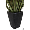 Silk Plant