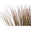 Silk Plant