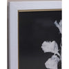 Framed Art