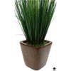 Silk Plant