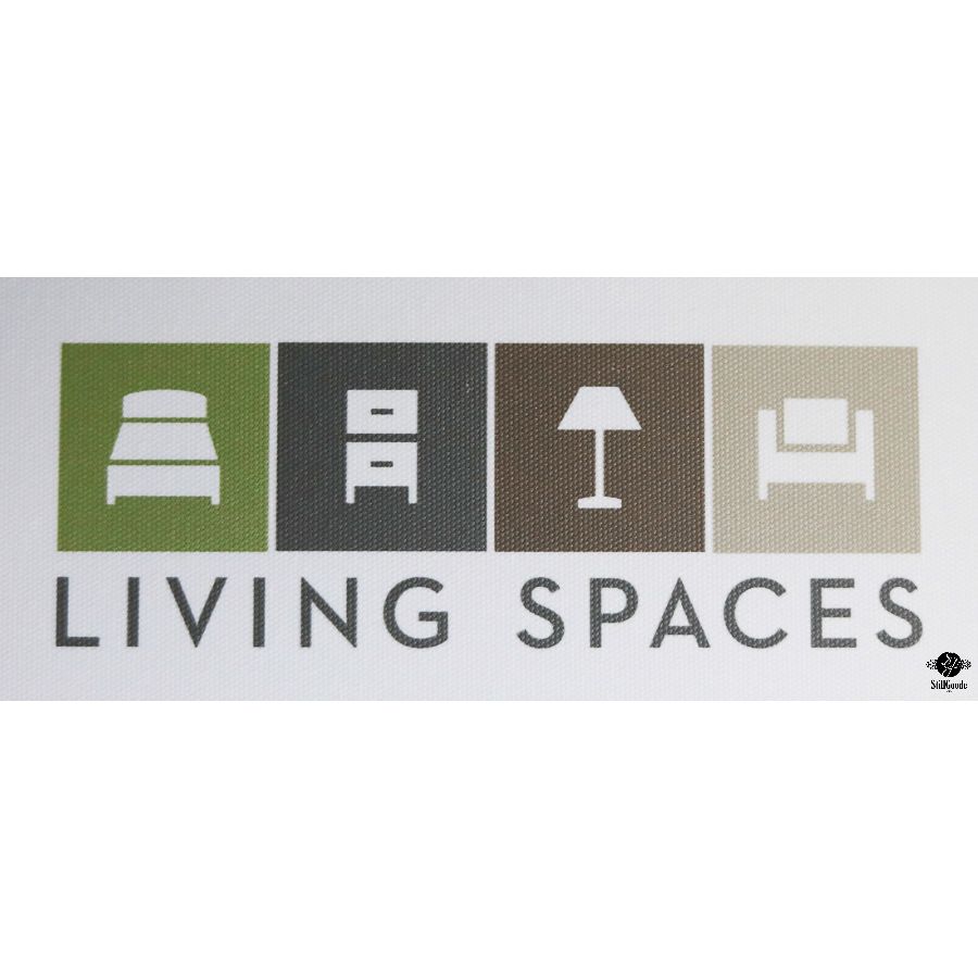 Living Spaces Sofa