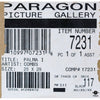 Paragon Art