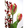 Floral Arrangement