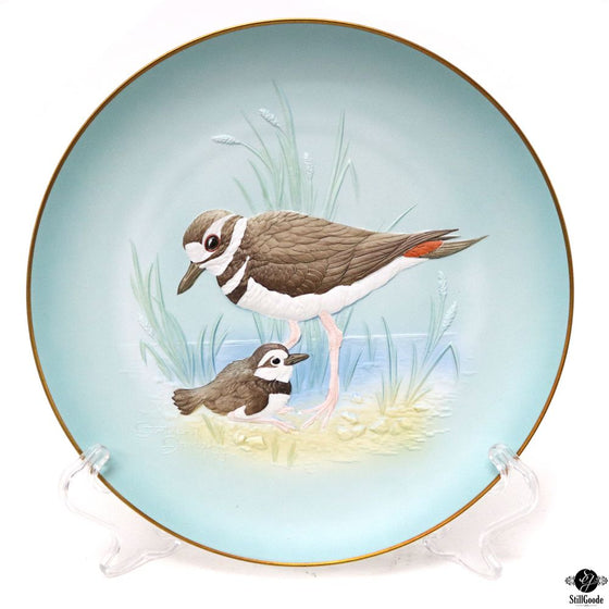 Hutschenreuther Plate