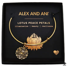  Alex and Ani Bracelet