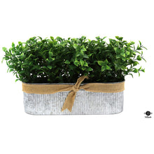  Silk Plant