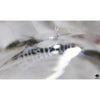 Waterford Glassware