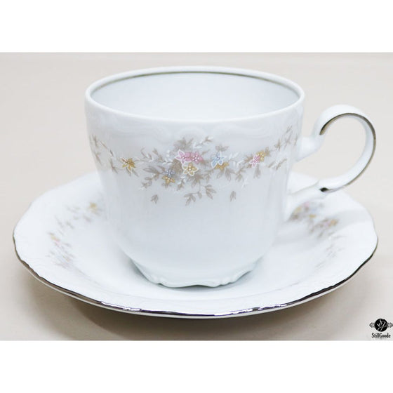 Haviland China Set