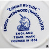Wedgwood Cup & Saucer