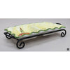 Tray