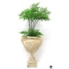 Silk Plant