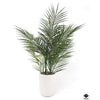 Silk Plant
