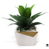 Silk Plant