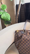 Louis Vuitton Purse
