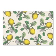  Hester & Cook Placemats